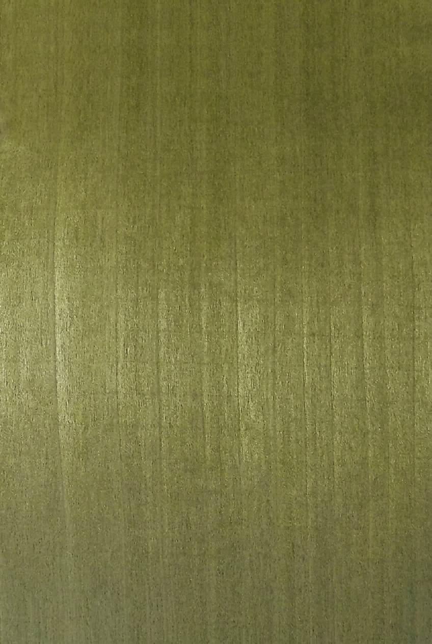 POPLAR 1652RV