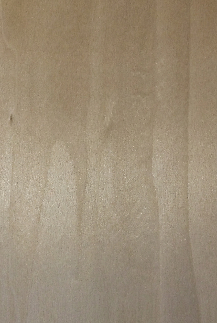 POPLAR 1026RV