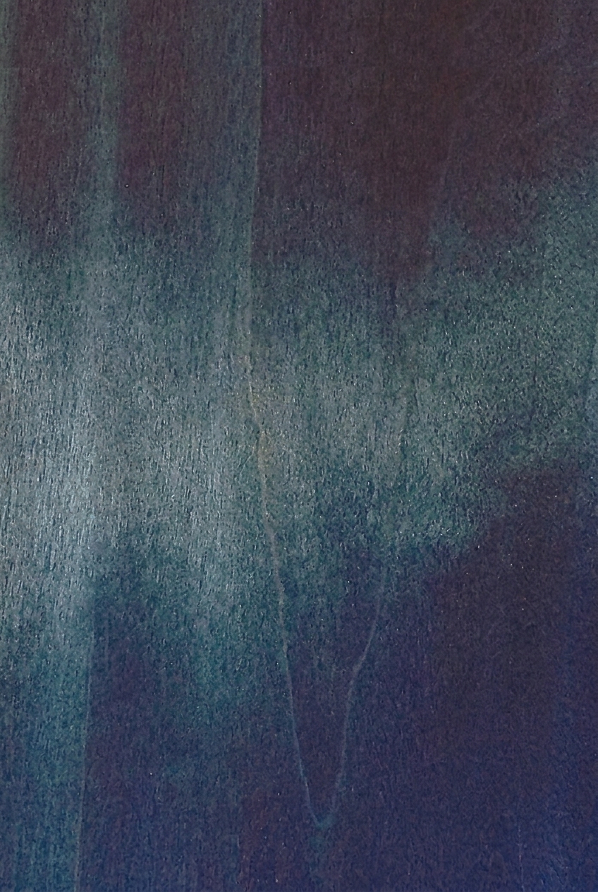 POPLAR 1751RV
