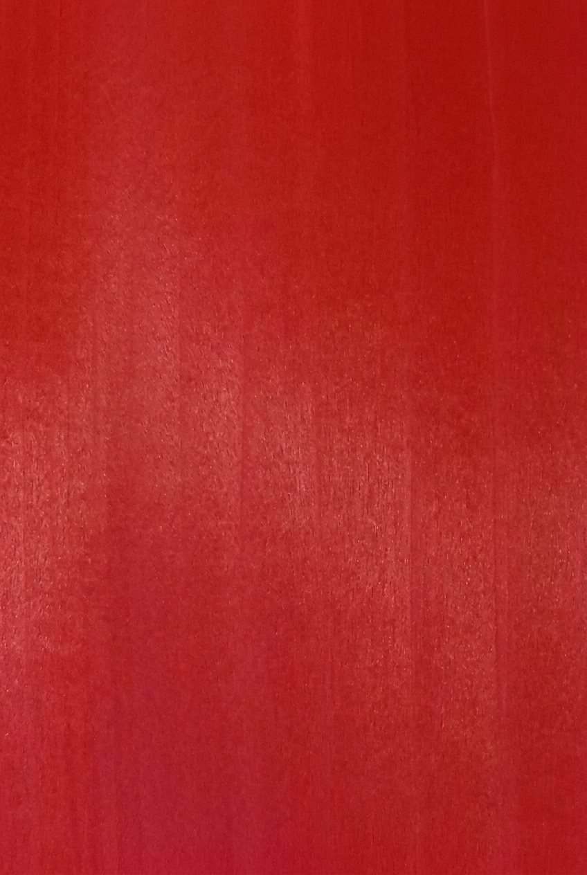 POPLAR 2484RV