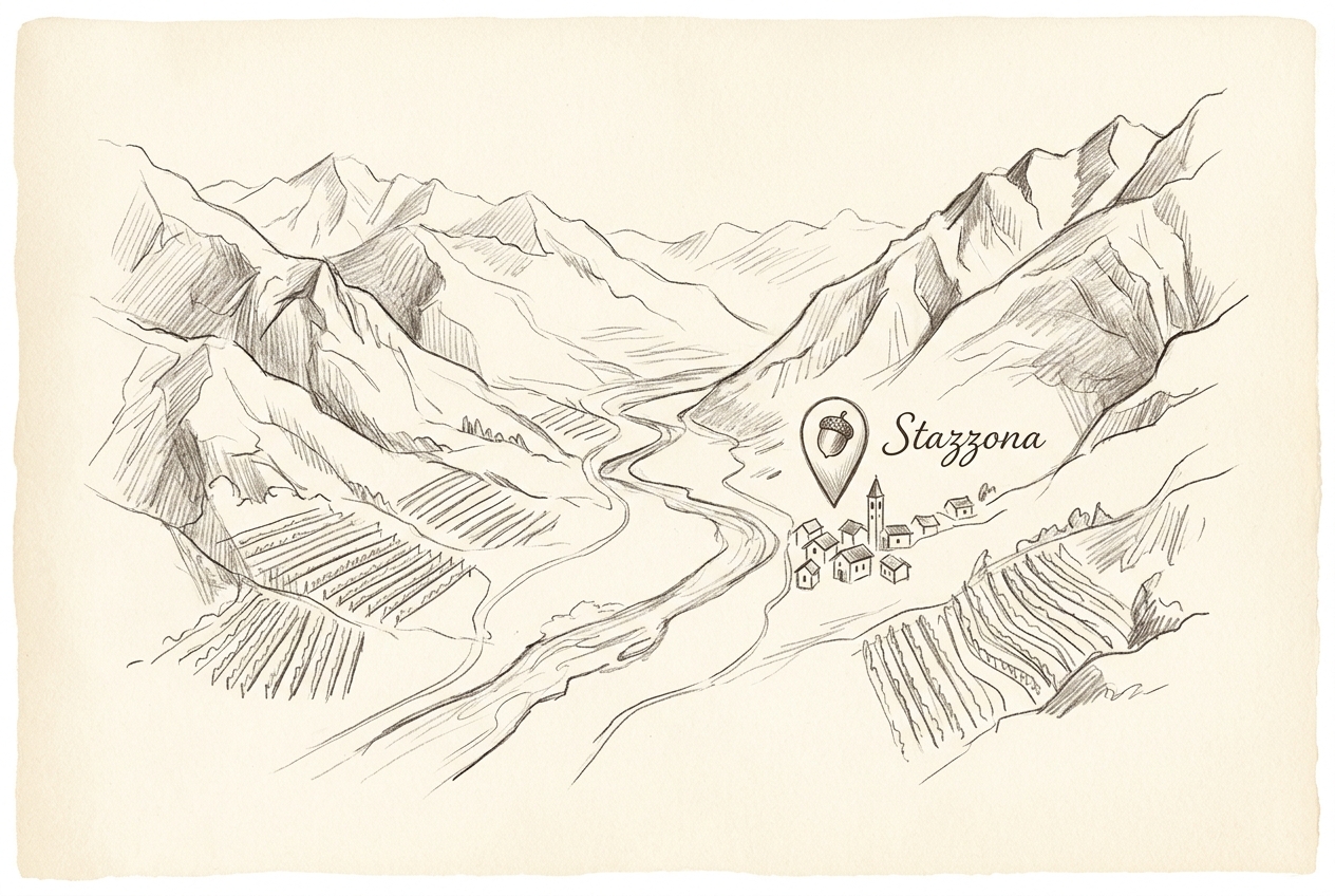 Mappa della Valtellina disegnata a matita