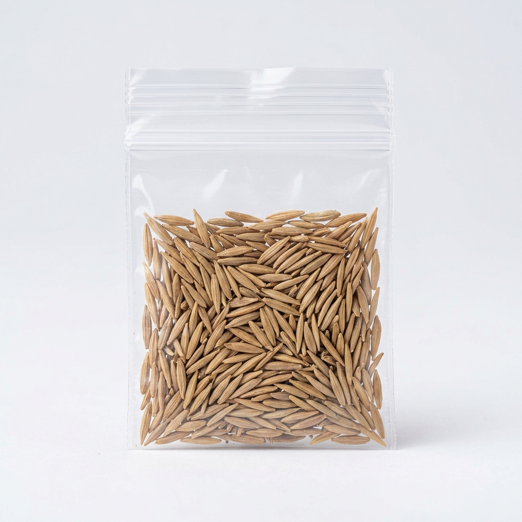 Lettuce Romaine Seeds — view 2