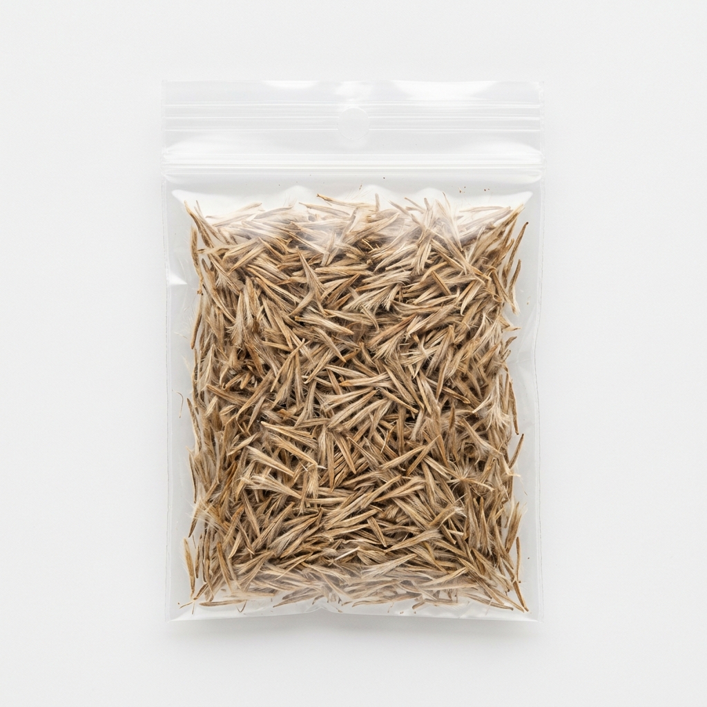 Aster Mix Seeds — view 2
