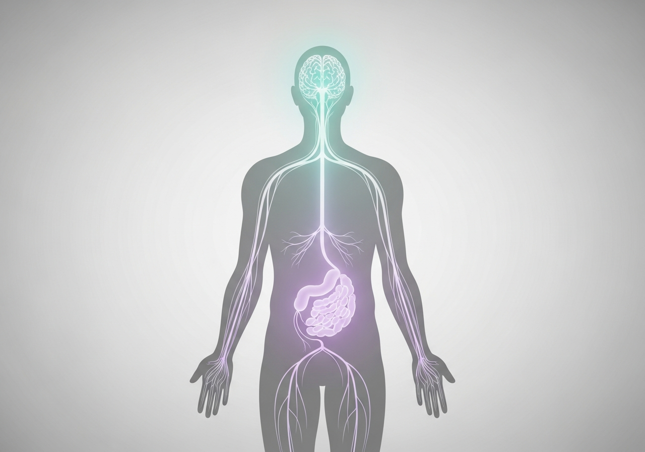 Polyvagal Theory Practitioner Training