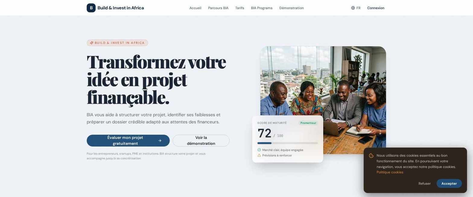 Build & Invest in Africa preview