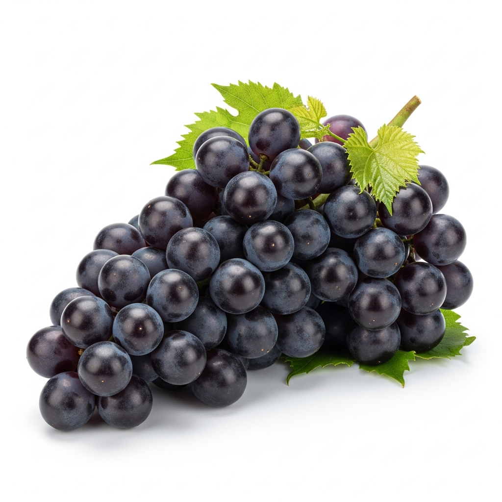 Raisin Muscat