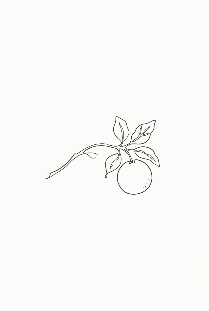 Bergamot botanical line illustration