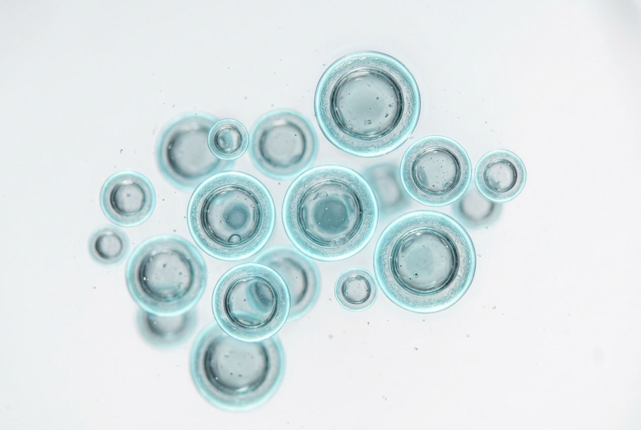 Microscopic view of lipid vesicles